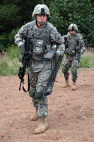 Tactical Assault Ladder System