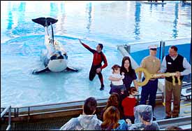 Shamu Presents Key to SeaWorld to U.S. Armed Services First Family - Orlando, Fla. (02/11/2005)